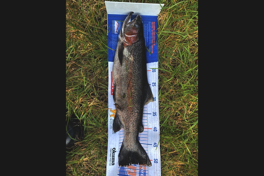 Josiah Atkinson caught this 51.5cm Trout at Whakatane during The Hirepool Baitmates Fishing Comp