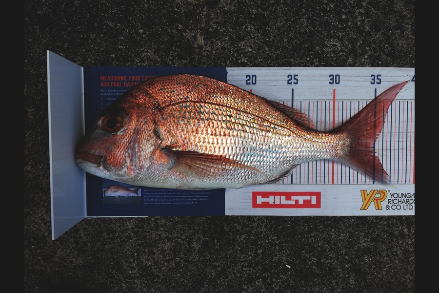 Karen Moffatt-McLeod caught this 34.5cm Snapper at Whitianga during The Hirepool Baitmates Fishing Comp