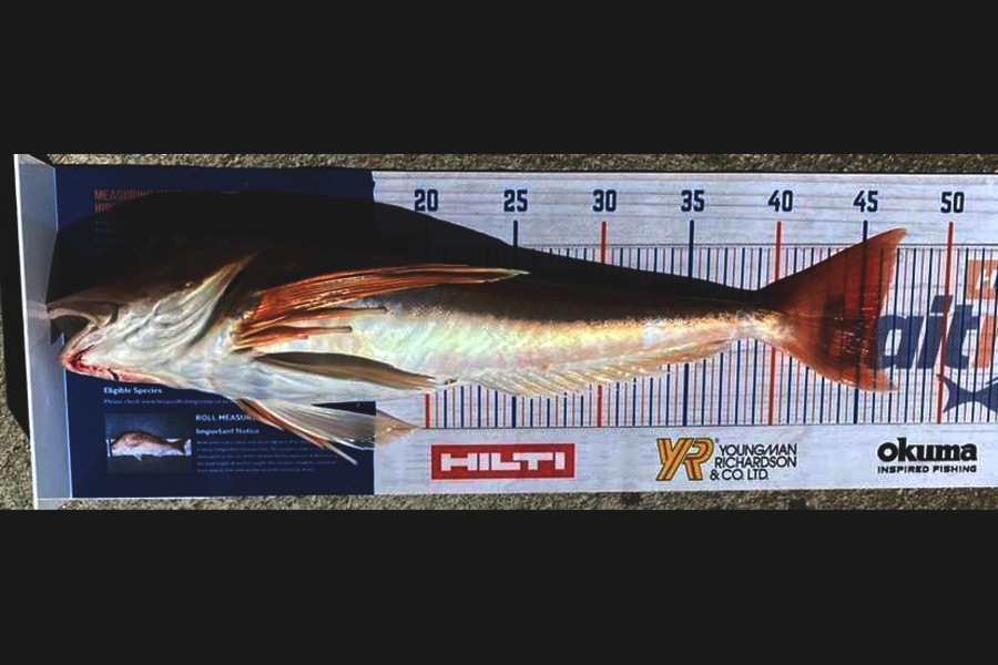 Thomas Grant caught this 46.0cm Gurnard at Hawkes Bay during The Hirepool Baitmates Fishing Comp