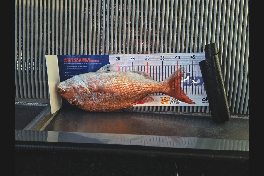 Richard Gardiner caught this 40.5cm Snapper at Opotoki during The Hirepool Baitmates Fishing Comp