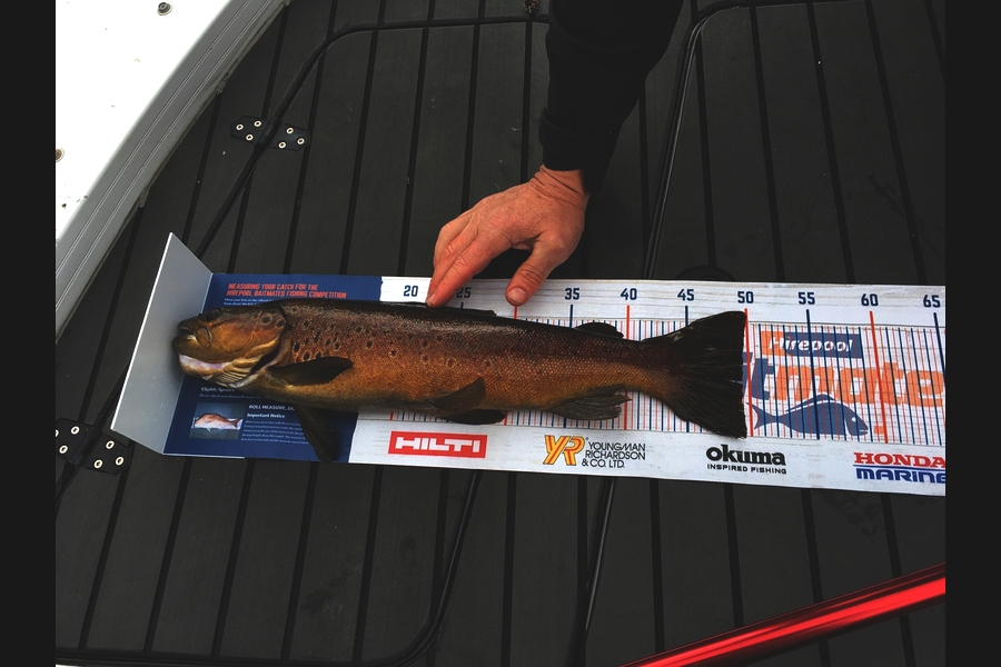 Maurice Bulford caught this 49.5cm Trout at Lake Brunner  during The Hirepool Baitmates Fishing Comp