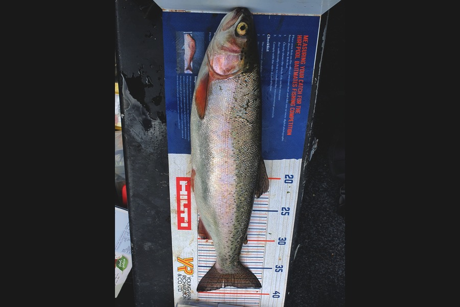 Ben Cullen caught this 38.5cm Trout at Waikato during The Hirepool Baitmates Fishing Comp