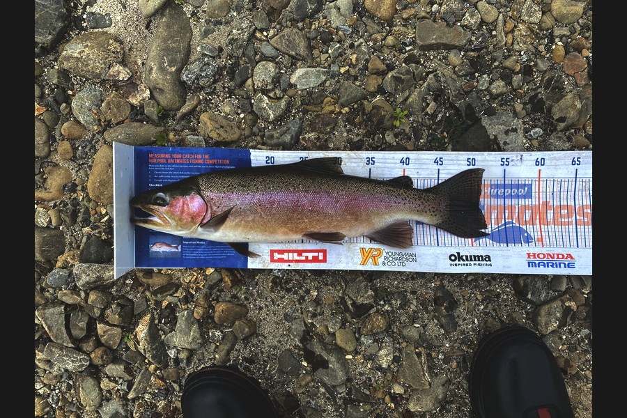 Josiah Atkinson caught this 51cm Trout at Whakatane  during The Hirepool Baitmates Fishing Comp