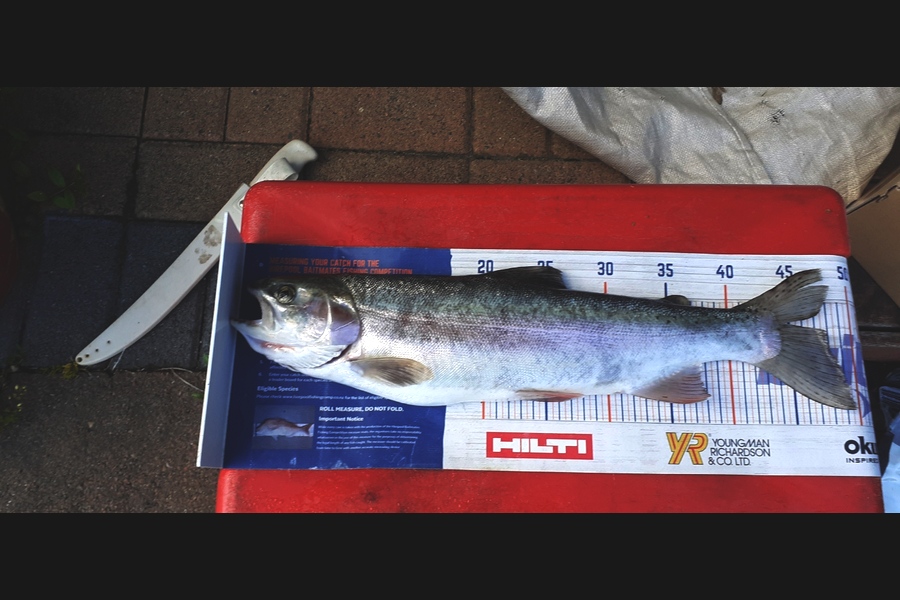 Richard Gardiner caught this 47cm Trout at taupo during The Hirepool Baitmates Fishing Comp