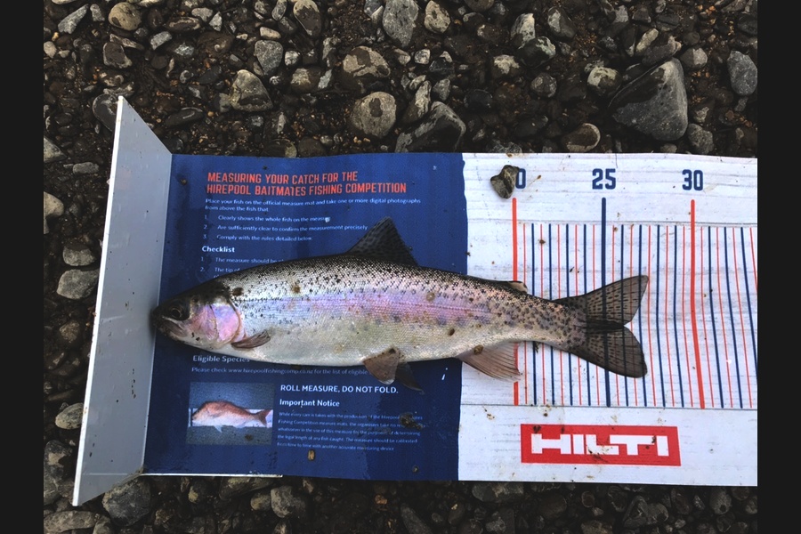 Gabriel Vilgalys caught this 25.5cm Trout at Whakatane  during The Hirepool Baitmates Fishing Comp