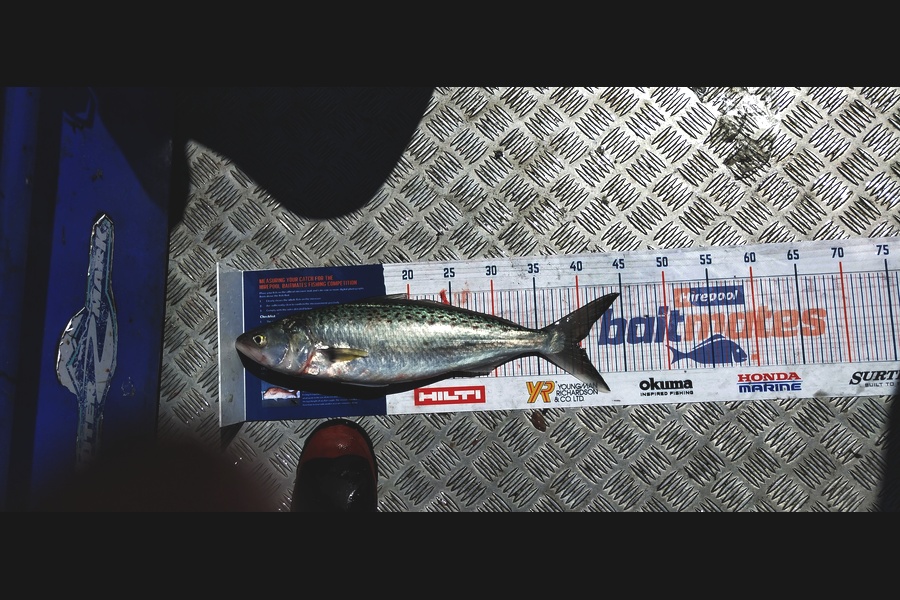 Melanie Pzpuni caught this 39.5cm Kahawai at Opotiki during The Hirepool Baitmates Fishing Comp