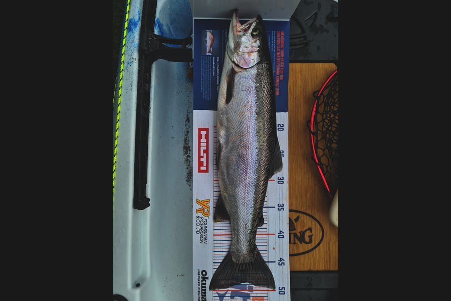 Richard Gardiner caught this 48.5cm Trout at taupo during The Hirepool Baitmates Fishing Comp
