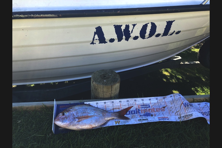 Nigel Pollock caught this 41cm Snapper at Mahia during The Hirepool Baitmates Fishing Comp