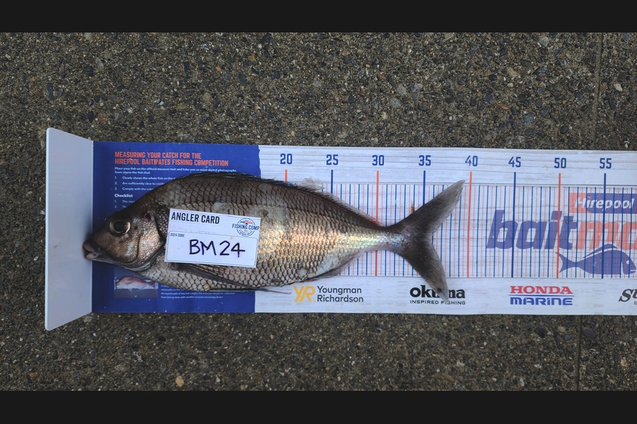Carolyn Carson caught this 35.5cm Tarakihi at Wellington during The Hirepool Baitmates Fishing Comp