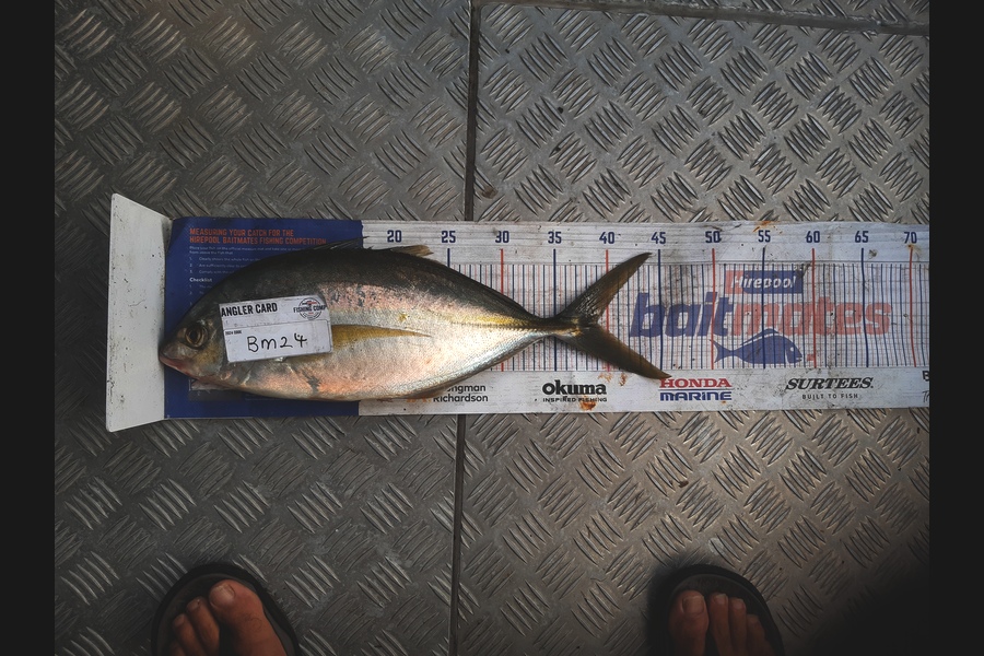 Clinton Emtage caught this 39.0cm Trevally at Northland during The Hirepool Baitmates Fishing Comp