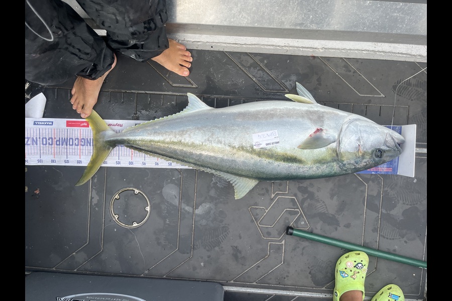 Alex White caught this 115.0cm Kingfish at Northland during The Hirepool Baitmates Fishing Comp