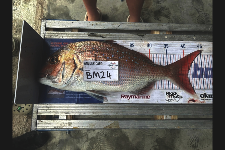Matthew Robinson caught this 40.5cm Snapper at Wairarapa
 during The Hirepool Baitmates Fishing Comp