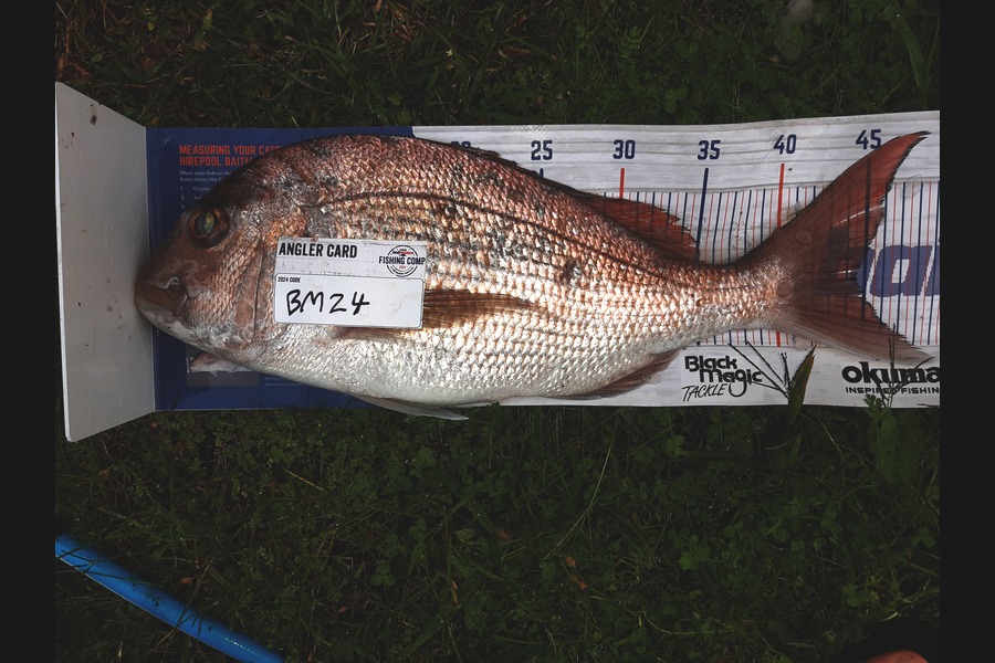 Michael Drummond caught this 44.5cm Snapper at Hawkes Bay during The Hirepool Baitmates Fishing Comp