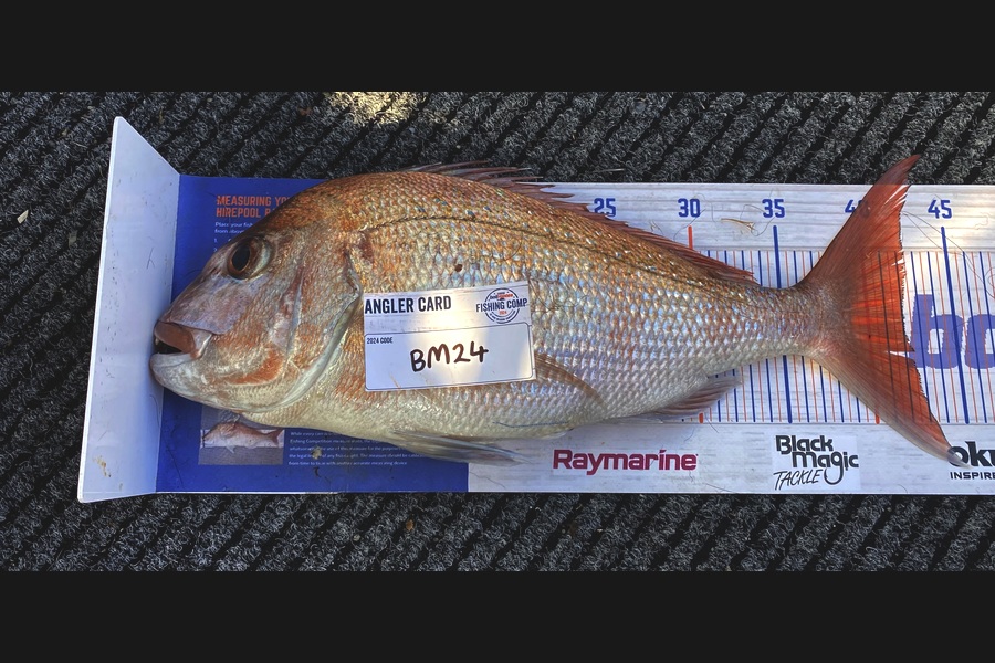 Chloe Hoffman caught this 42.0cm Snapper at Northland during The Hirepool Baitmates Fishing Comp