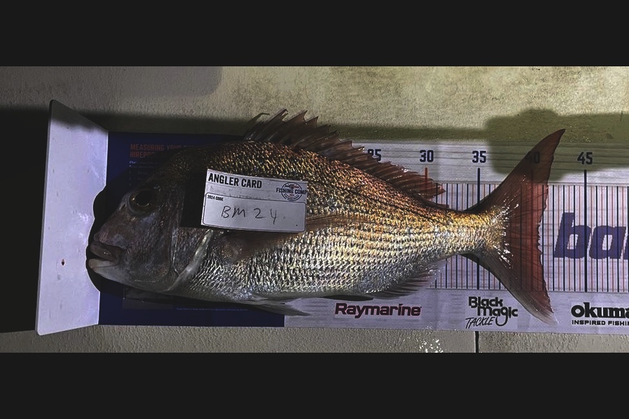 Chris Smit caught this 40.5cm Snapper at Auckland during The Hirepool Baitmates Fishing Comp