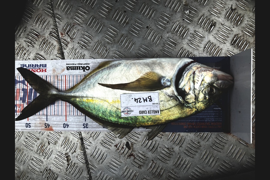 Gavin White caught this 46cm Trevally at Wellington during The Hirepool Baitmates Fishing Comp
