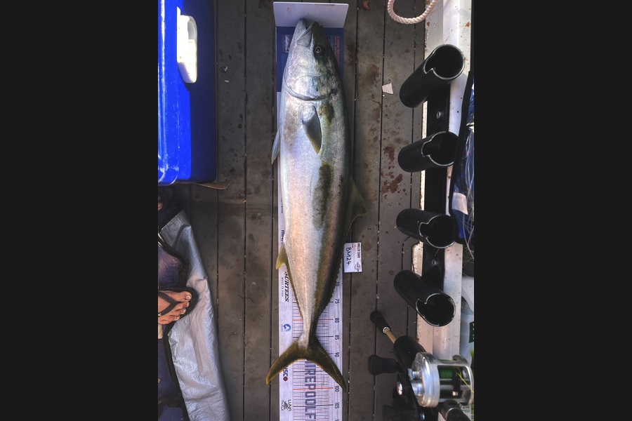 Hunter Russell caught this 91.5cm Kingfish at Northland during The Hirepool Baitmates Fishing Comp