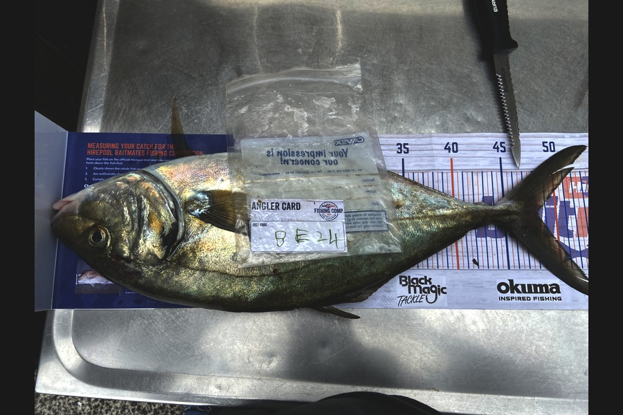 Ollie Heard caught this 48.0cm Trevally at Auckland during The Hirepool Baitmates Fishing Comp