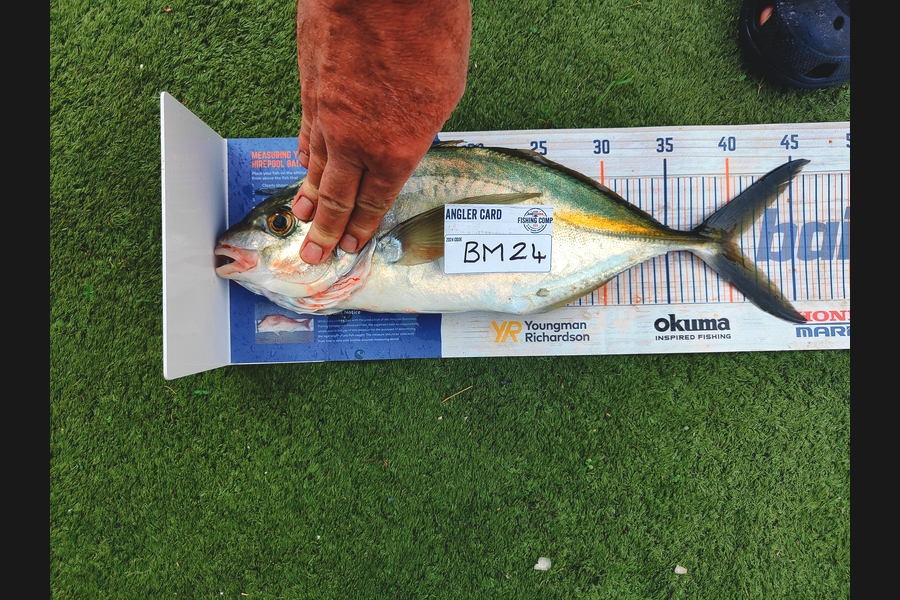 Adri Klopper caught this 40.5cm Trevally at Northland during The Hirepool Baitmates Fishing Comp