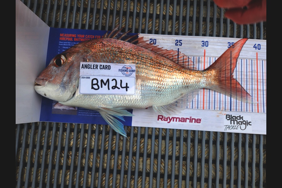 Bella Inverarity caught this 35.5cm Snapper at Northland during The Hirepool Baitmates Fishing Comp