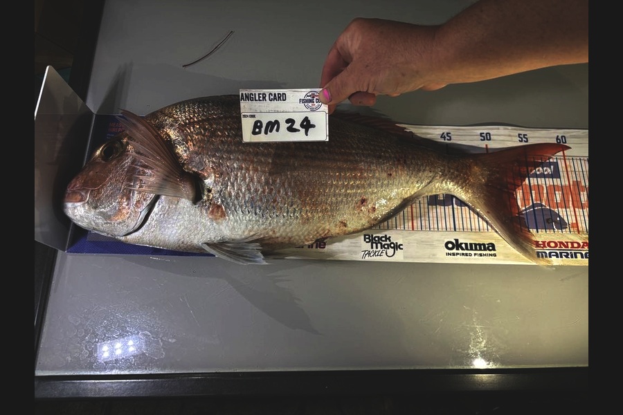 Steve Crowley caught this 52.5cm Snapper at Nelson/Marlborough during The Hirepool Baitmates Fishing Comp