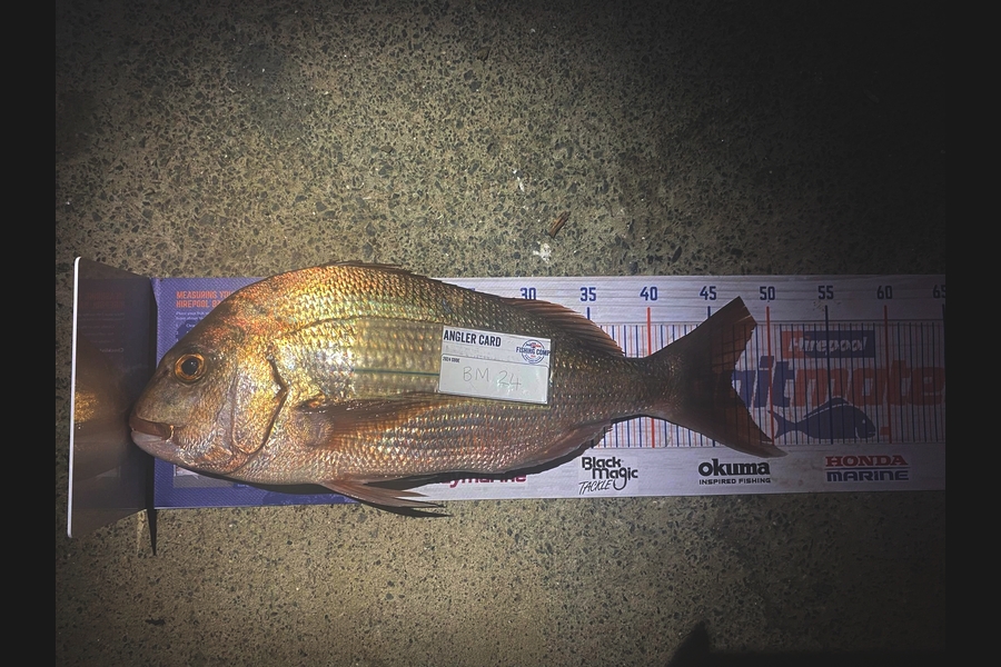 Regina Job caught this 46.5cm Snapper at Northland during The Hirepool Baitmates Fishing Comp