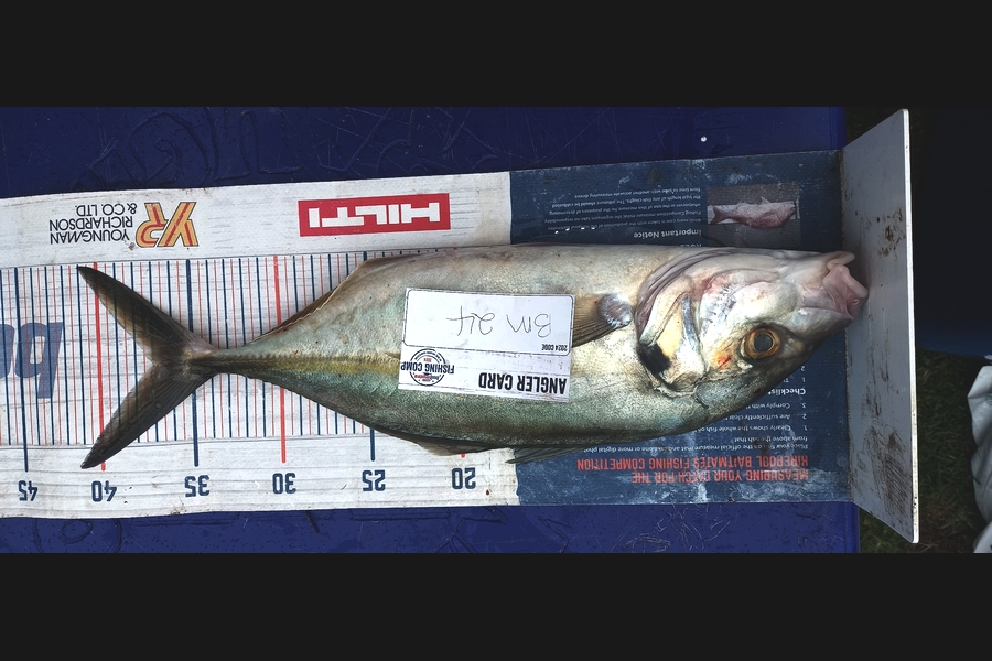 Peter Reynolds caught this 36.5cm Trevally at Northland during The Hirepool Baitmates Fishing Comp