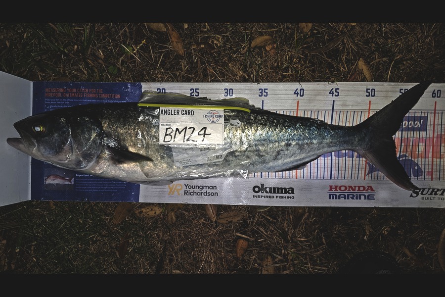 Troy Rae-Royle caught this 53.5cm Kahawai at Coromandel during The Hirepool Baitmates Fishing Comp