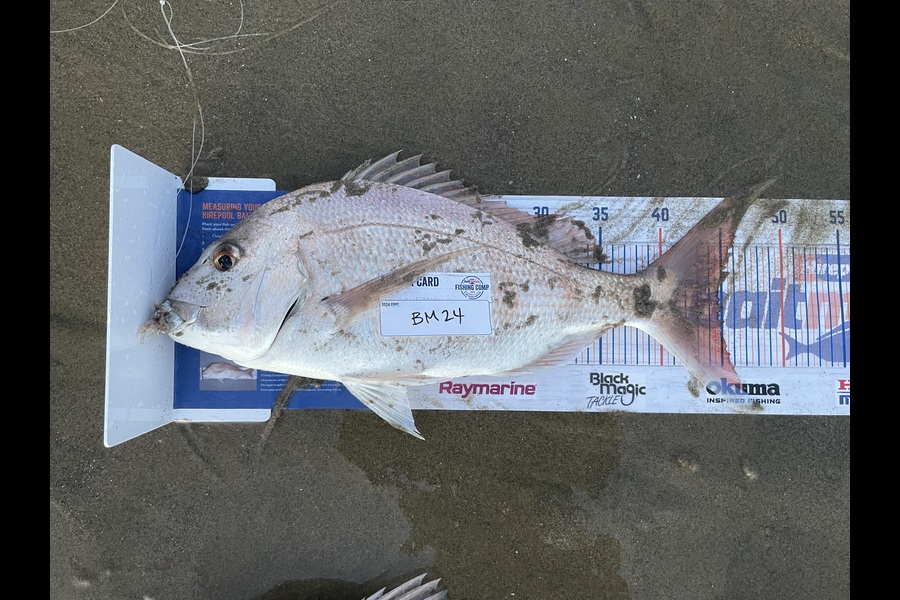 Angel Emtage caught this 44.5cm Snapper at Northland during The Hirepool Baitmates Fishing Comp