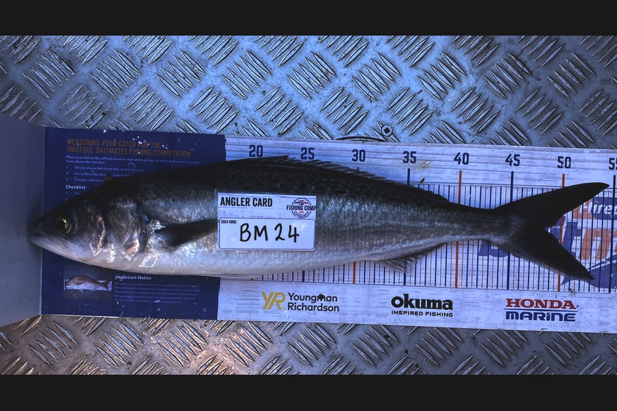 Braxton Allan caught this 48.0cm Kahawai at Wairarapa
 during The Hirepool Baitmates Fishing Comp
