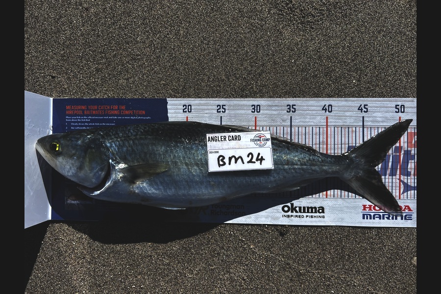 Jayden Millar caught this 45.0cm Kahawai at Bay of Plenty during The Hirepool Baitmates Fishing Comp