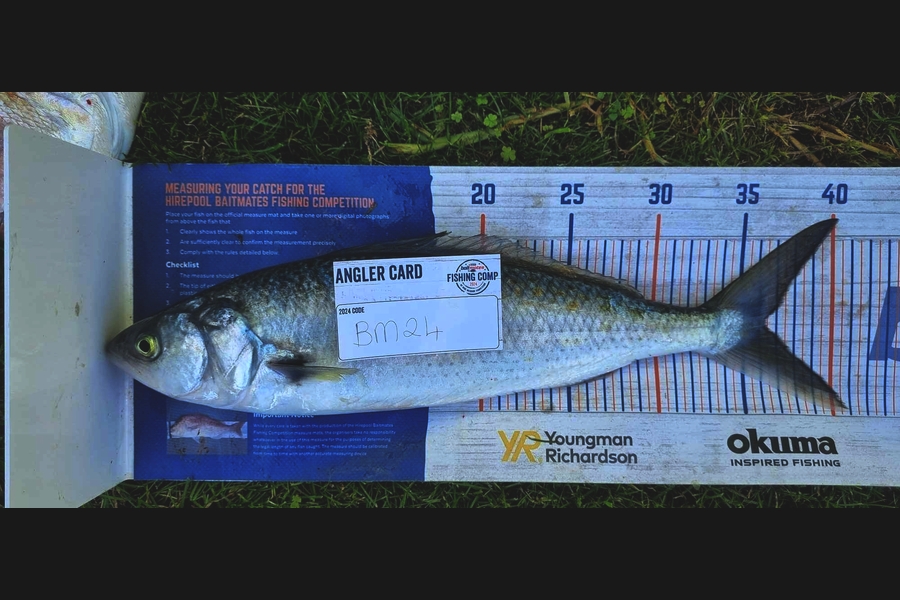 Logan Brpwn caught this 36.0cm Kahawai at Bay of Plenty during The Hirepool Baitmates Fishing Comp