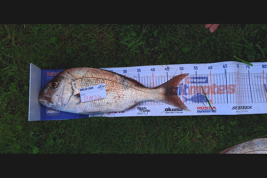 Josh Muller caught this 47.5cm Snapper at Coromandel during The Hirepool Baitmates Fishing Comp