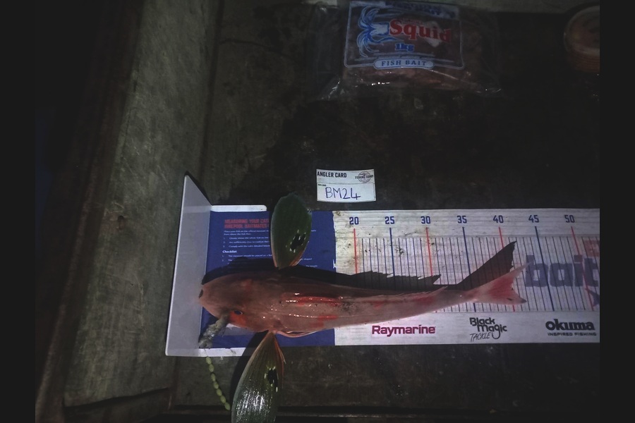 Steven Huata caught this 39.5cm Gurnard at Hawkes Bay during The Hirepool Baitmates Fishing Comp