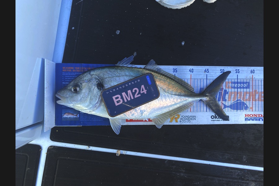 Melissa Mobbs caught this 47.0cm Trevally at Coromandel during The Hirepool Baitmates Fishing Comp