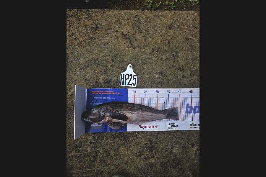 Evie Grace caught this 38.5cm Blue Cod at Nelson/Marlborough during The Hirepool Baitmates Fishing Comp