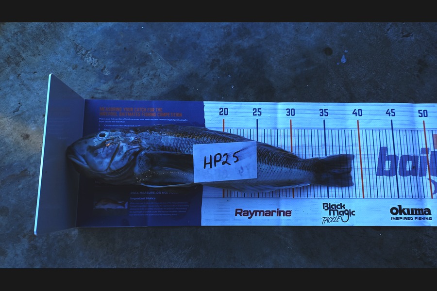 Kelvin Mckay caught this 38.5cm Blue Cod at Otago during The Hirepool Baitmates Fishing Comp