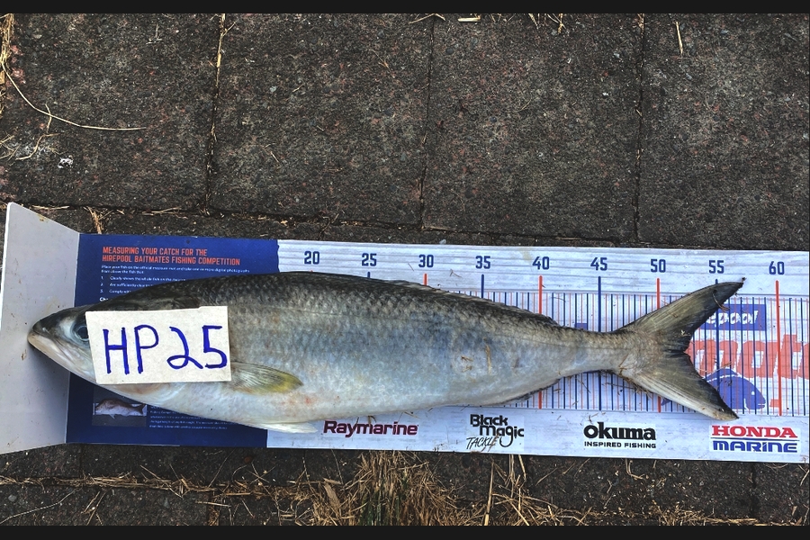 Blake Russell caught this 52.5cm Kahawai at Manawatu during The Hirepool Baitmates Fishing Comp