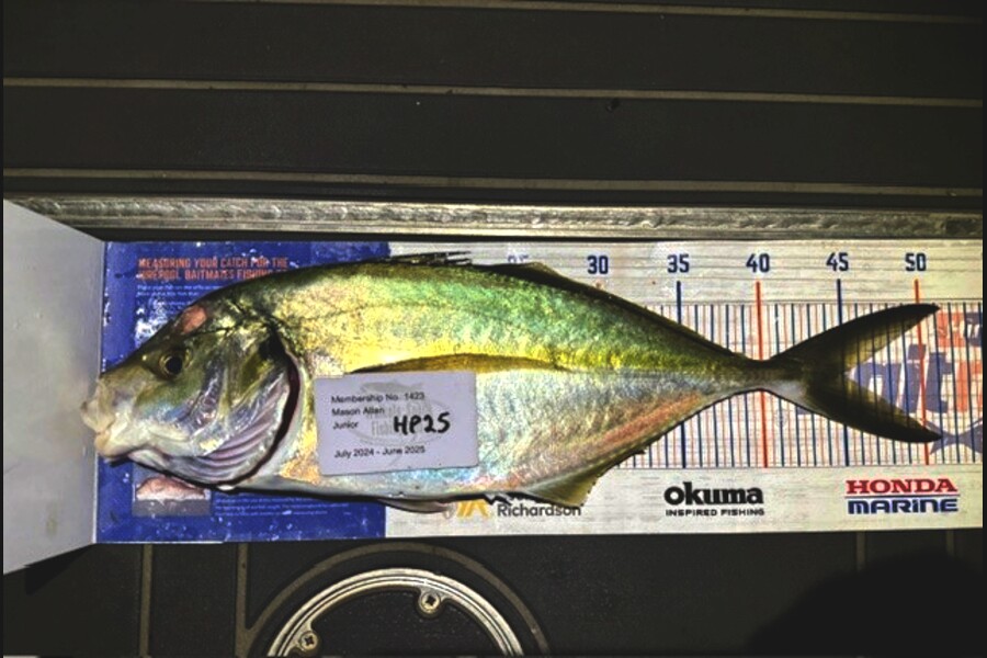 Mason Allan caught this 45.0cm Trevally at Wellington during The Hirepool Baitmates Fishing Comp
