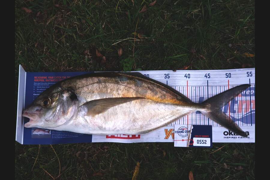 Nikora Wild caught this 48.0cm Trevally at Foxton during The Hirepool Baitmates Fishing Comp