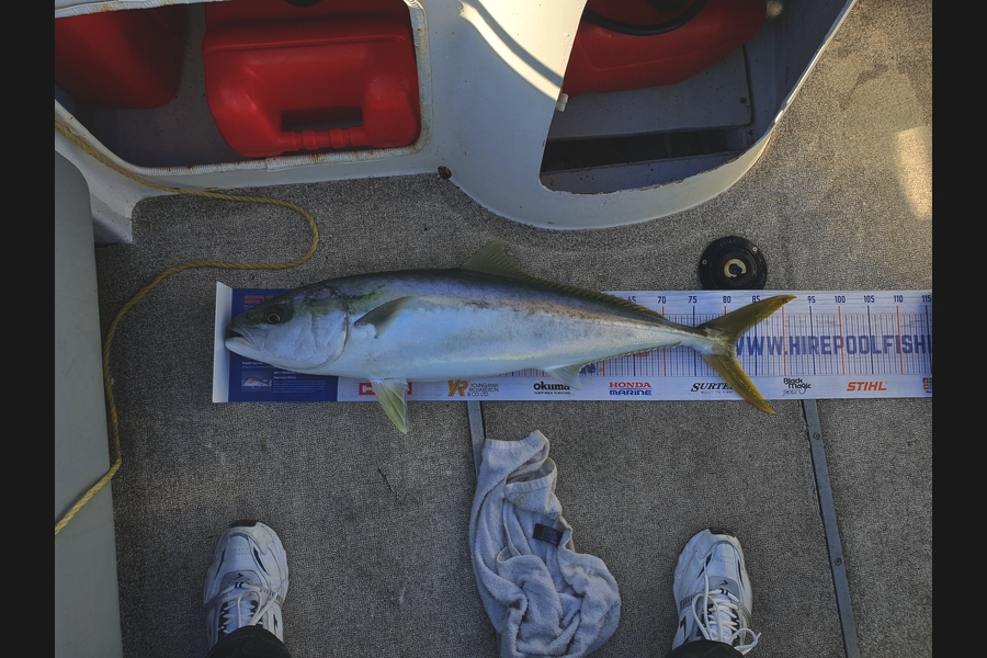 Doug Anderson  caught this 82.0cm Kingfish at Southwest of Anchorite during The Hirepool Baitmates Fishing Comp