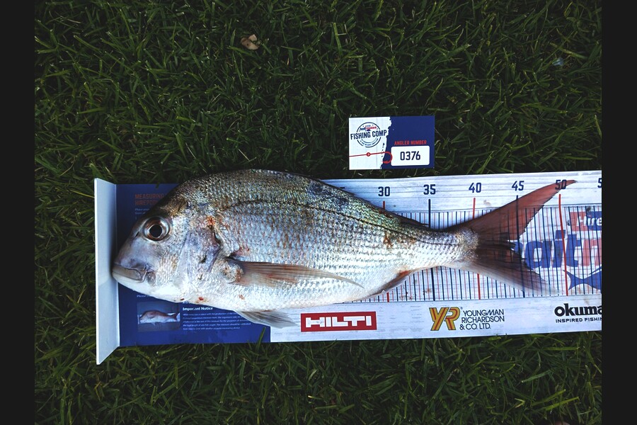 Anna Colgan Quinn  caught this 44.5cm Snapper at Mount  Maunganui  during The Hirepool Baitmates Fishing Comp