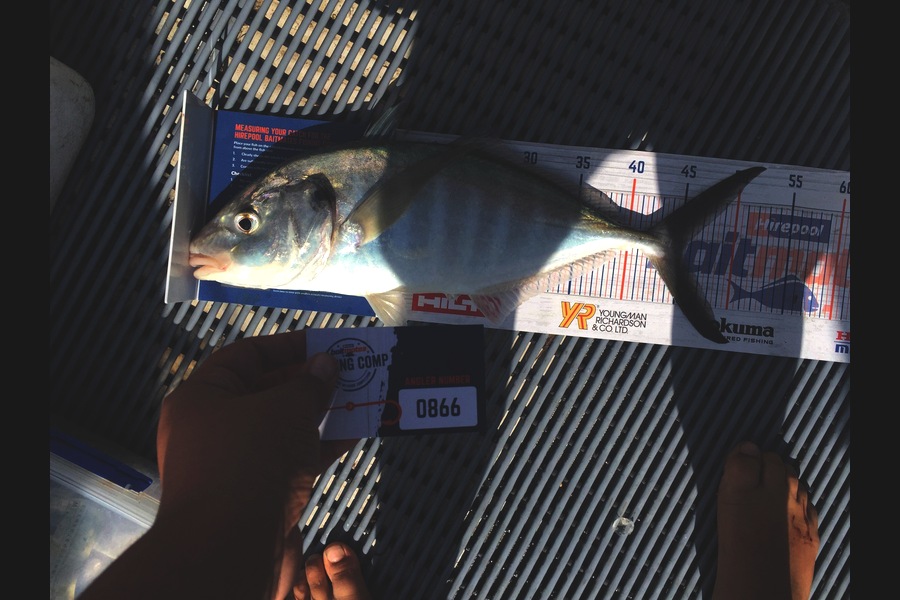 Todd Warmington  caught this 45.0cm Trevally at Kaipara  during The Hirepool Baitmates Fishing Comp