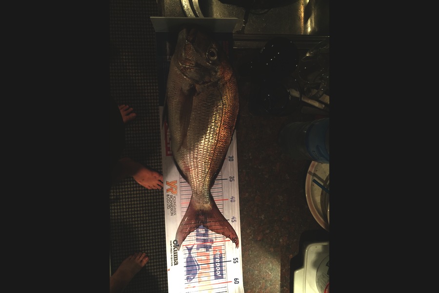 Lachlan Wallace caught this 45.5cm Snapper at Karikari  during The Hirepool Baitmates Fishing Comp