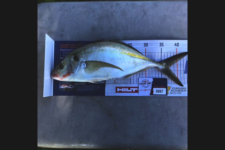 Steve  Varley caught this 37cm Trevally at Mangawhai  during The Hirepool Baitmates Fishing Comp