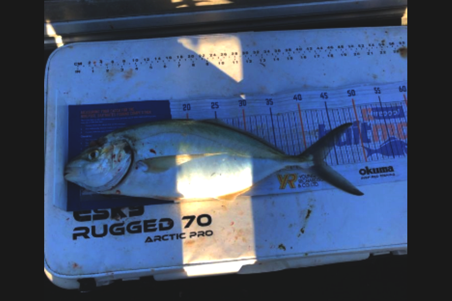 Dave Rosd caught this 42cm Trevally at Mt Maunganui during The Hirepool Baitmates Fishing Comp