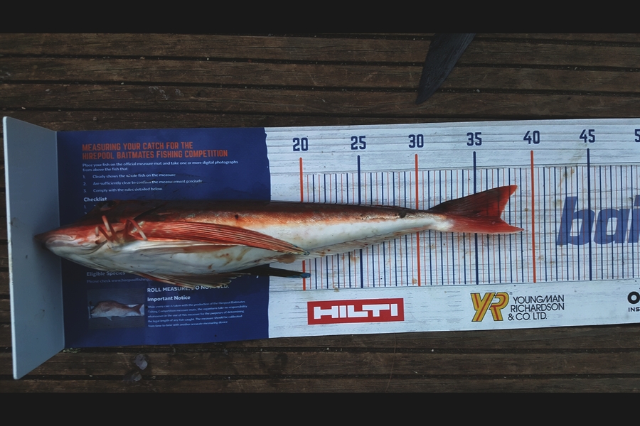 Dan Musson caught this 37.0cm Gurnard at Welly harb during The Hirepool Baitmates Fishing Comp