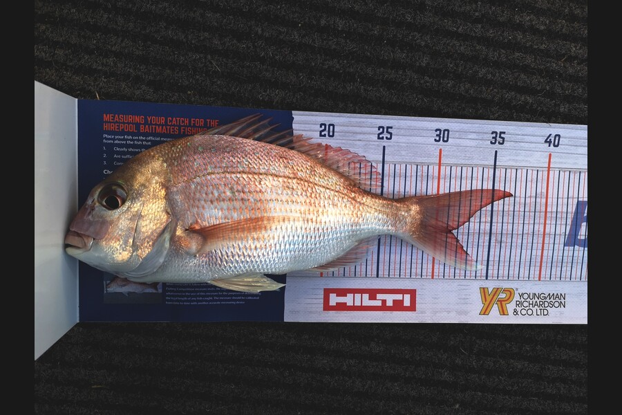 Cathy Pearton caught this 31cm Snapper at Waiheke during The Hirepool Baitmates Fishing Comp