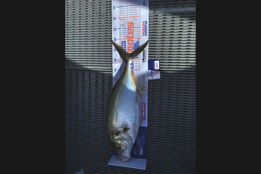 Michael  Mclarnon caught this 53.0cm Trevally at Waihi beach during The Hirepool Baitmates Fishing Comp