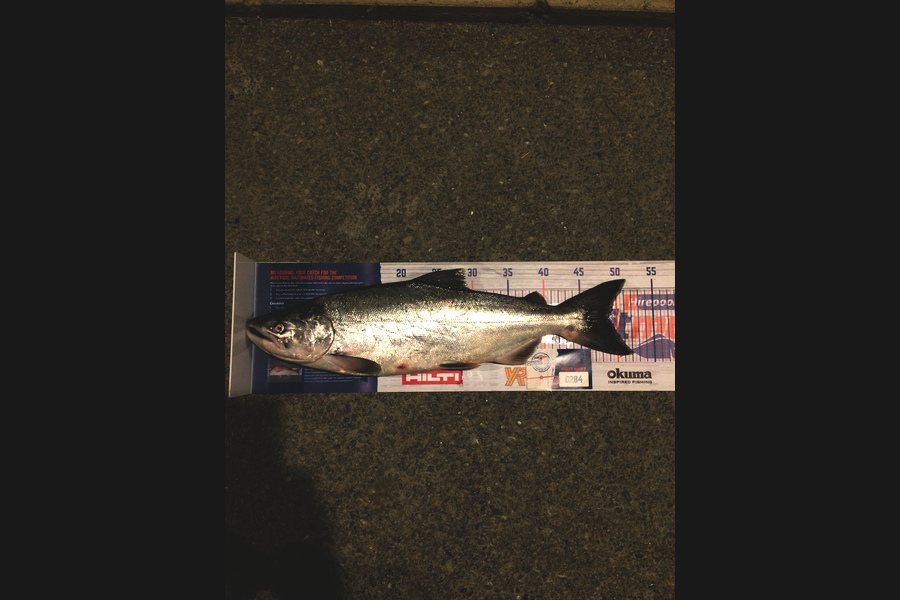 Craig  Hale caught this 49.0cm Salmon at waimakariri during The Hirepool Baitmates Fishing Comp